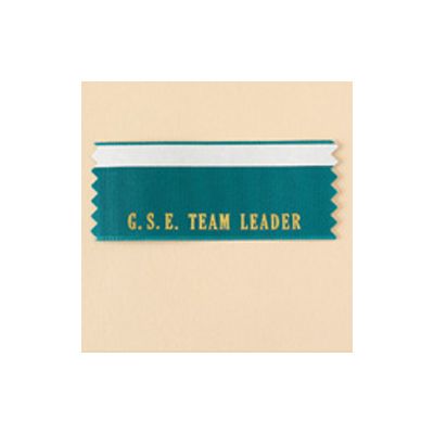 G.S.E. Team Leader