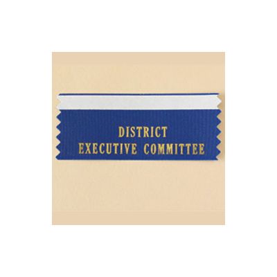 District Executive Committee