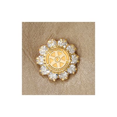 Sparkling Rhinestone Emblem Pin