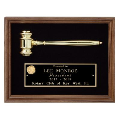 Golden Gavel Shadowbox Award