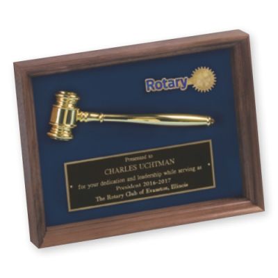 Golden Gavel Shadowbox Award