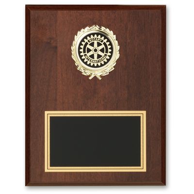 7" x 9" Special Value Award