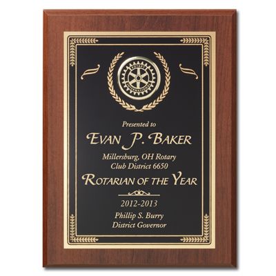 9" x 12" Special Value Award
